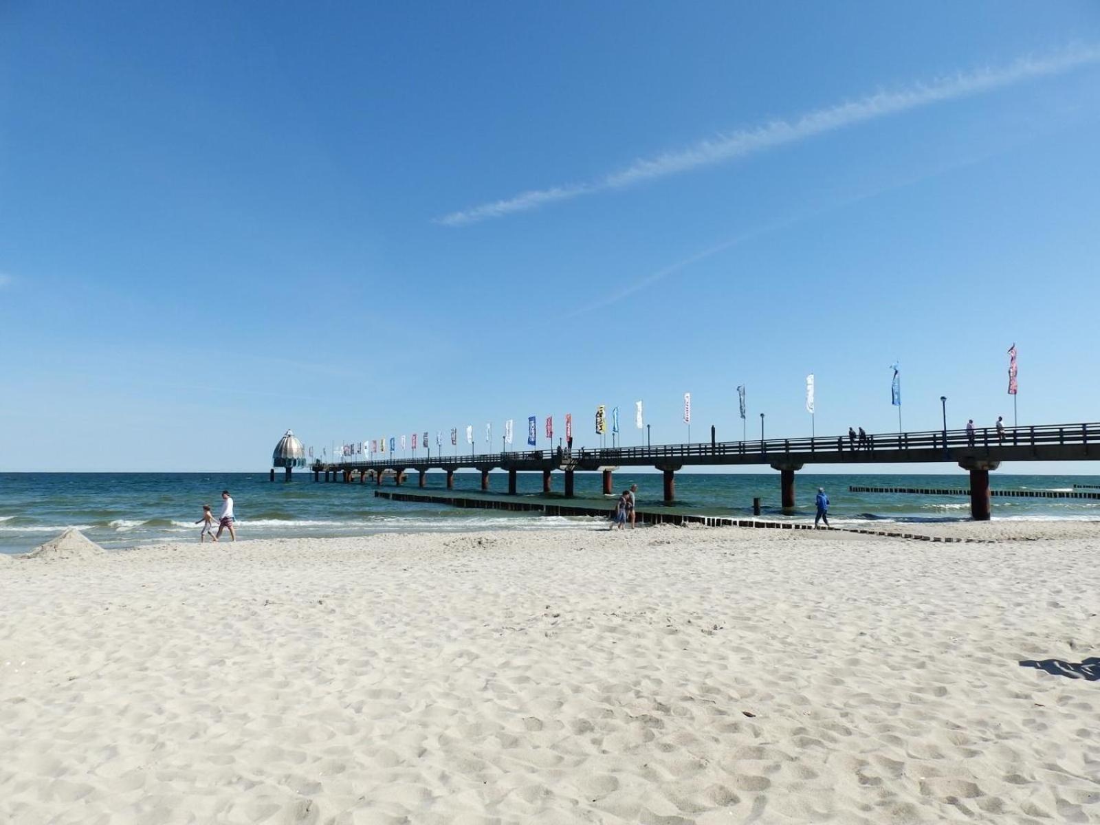 Moewennest 02 Lägenhet Zingst Exteriör bild