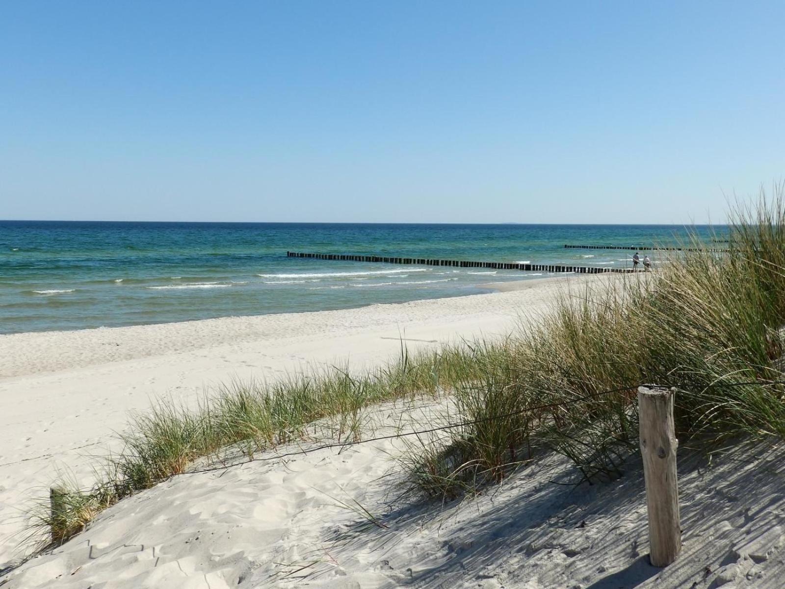 Moewennest 02 Lägenhet Zingst Exteriör bild